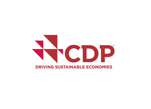 Логотип «CDP Worldwide»